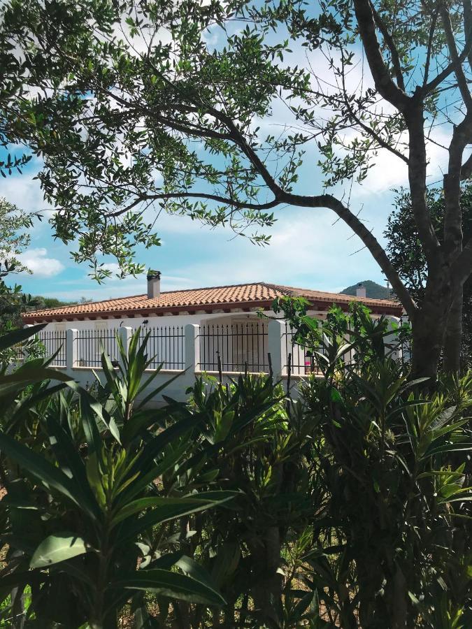 La Casa Dell Olivo Villa Castiadas Exterior photo